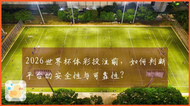 2026世界杯体彩投注前，如何判断平台的安全性与可靠性？