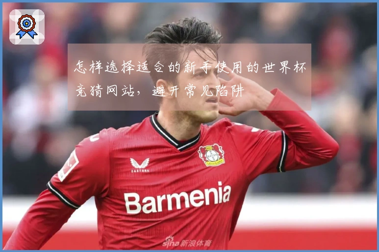 怎样选择适合的新手使用的世界杯竞猜网站，避开常见陷阱