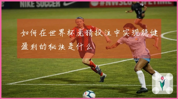 如何在世界杯竞猜投注中实现稳健盈利的秘诀是什么