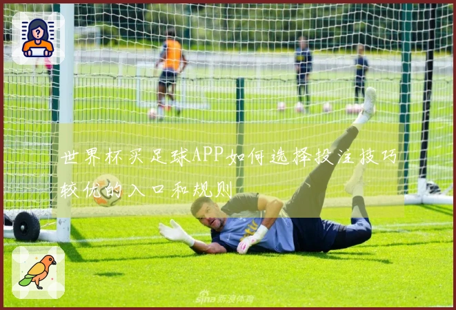 世界杯买足球APP如何选择投注技巧较优的入口和规则