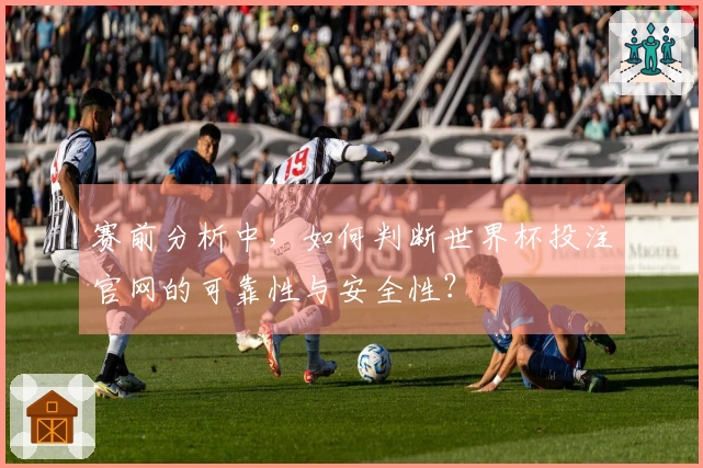 赛前分析中，如何判断世界杯投注官网的可靠性与安全性？