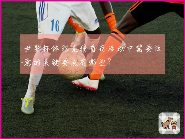 世界杯体彩竞猜首存活动中需要注意的关键要点有哪些？