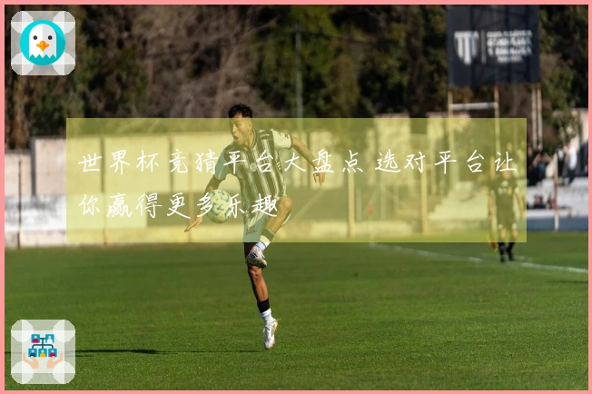 世界杯竞猜平台大盘点 选对平台让你赢得更多乐趣