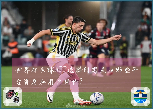 世界杯买球APP选择时需关注哪些平台资质和用户评价？