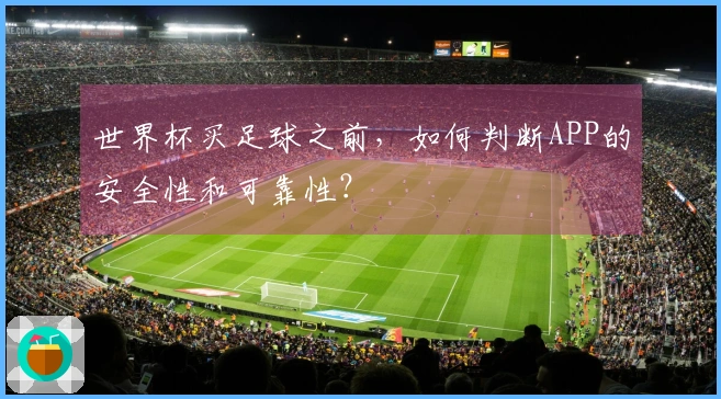 世界杯买足球之前，如何判断APP的安全性和可靠性？