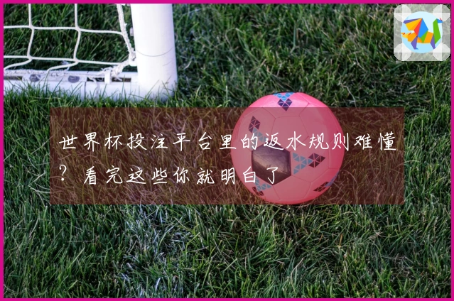 世界杯投注平台里的返水规则难懂？看完这些你就明白了