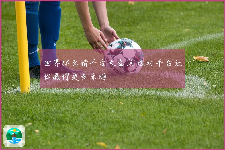 世界杯竞猜平台大盘点 选对平台让你赢得更多乐趣