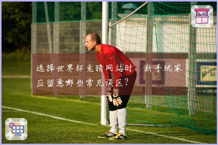 选择世界杯竞猜网站时，新手玩家应留意哪些常见误区？