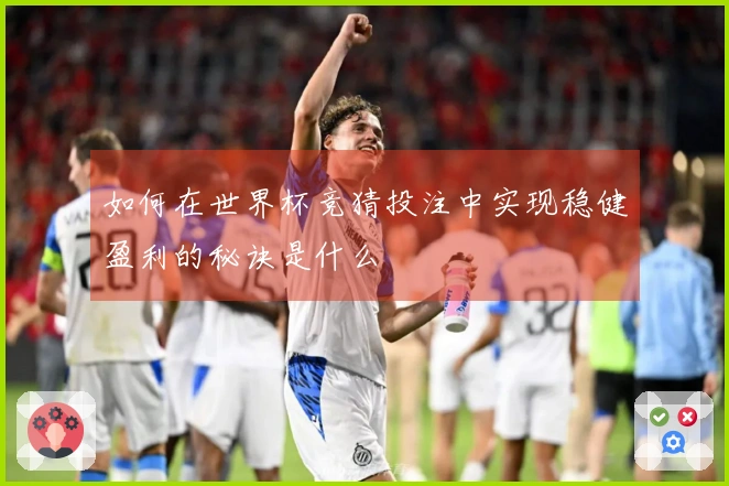 如何在世界杯竞猜投注中实现稳健盈利的秘诀是什么