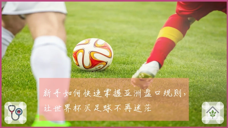 新手如何快速掌握亚洲盘口规则，让世界杯买足球不再迷茫