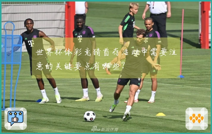 世界杯体彩竞猜首存活动中需要注意的关键要点有哪些？